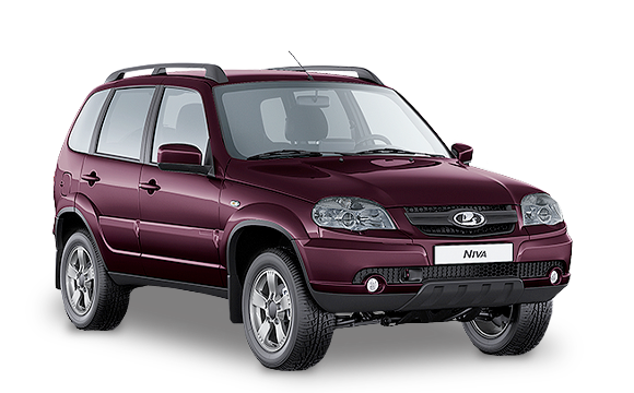 Дикая Слива